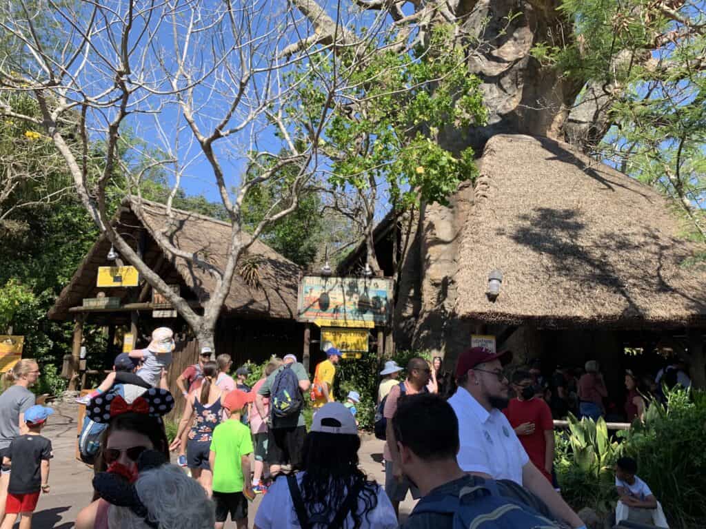 Disney's Animal Kingdom
