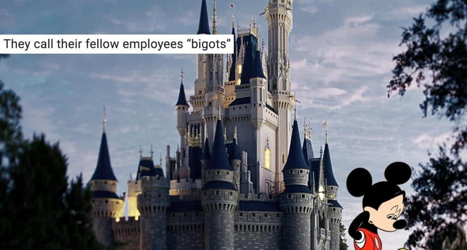 Disney Cast Members
