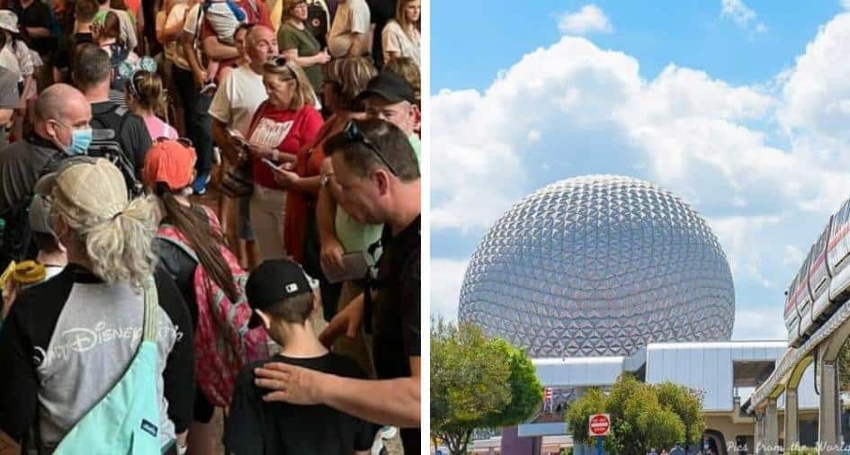 Disney World Incident