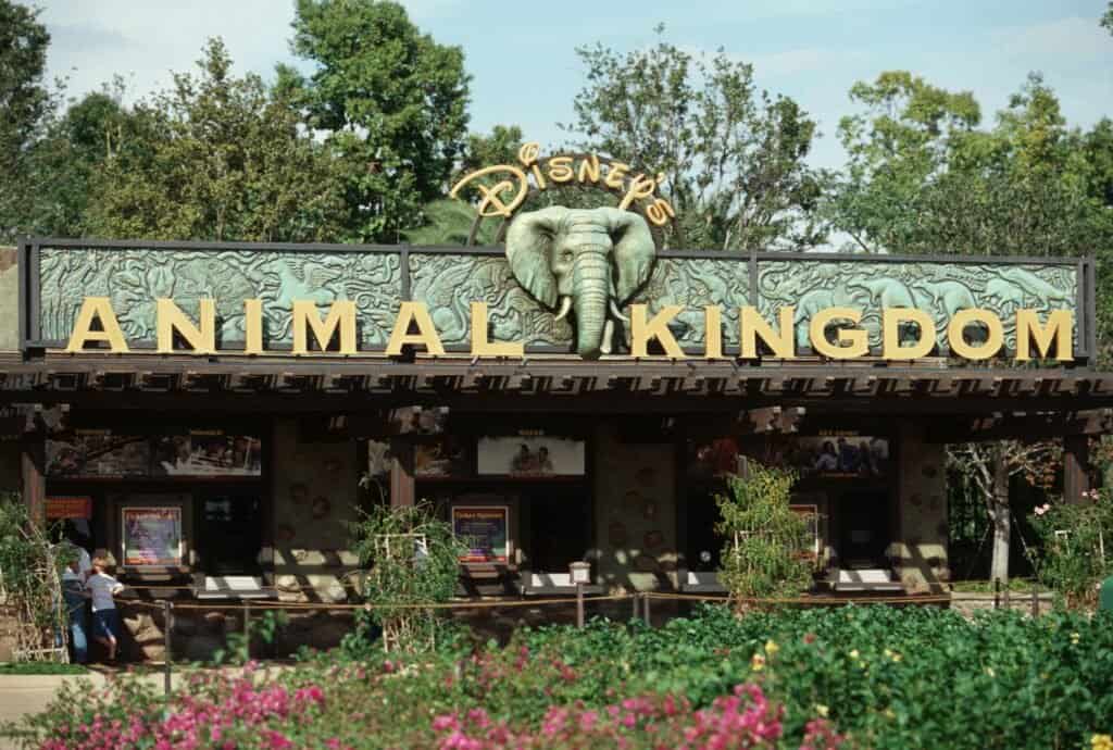 Disney's Animal Kingdom Entrance