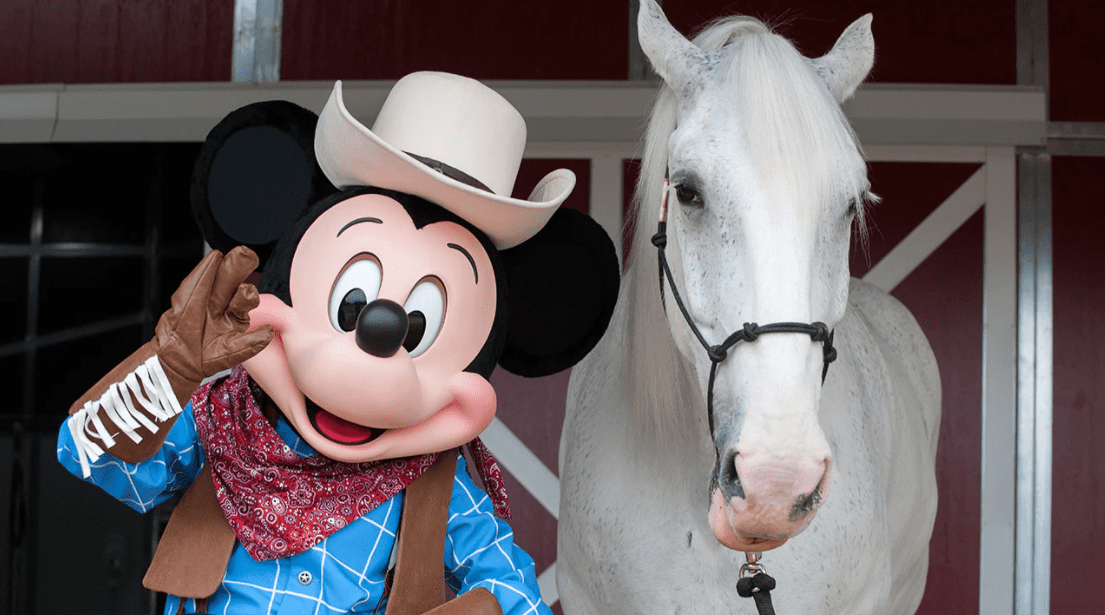 Disneyland Horses