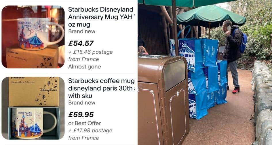 Disney Park Merch Scalping