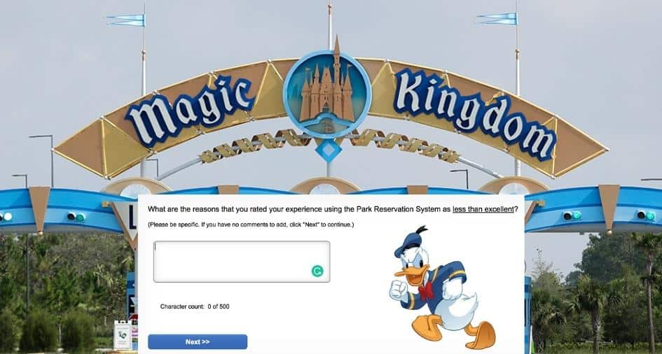 Disney World Survey