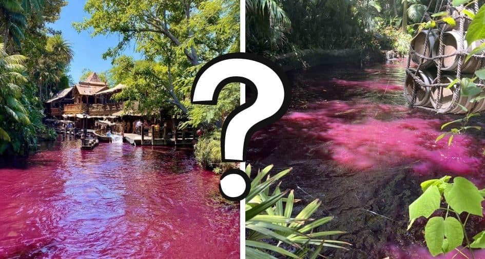 jungle cruise river pink