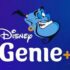 Disney Genie Plus Park Hopping