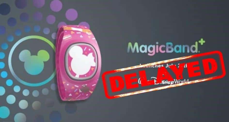 Disney World MagicBands