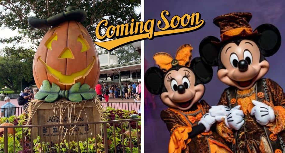 mickey's not so scary halloween party