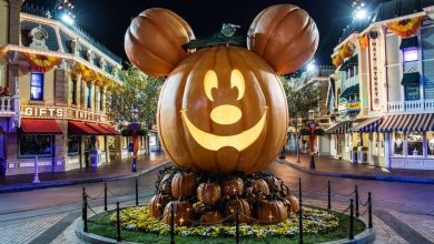 mickey-pumpkin-main-street-usa-disneyland