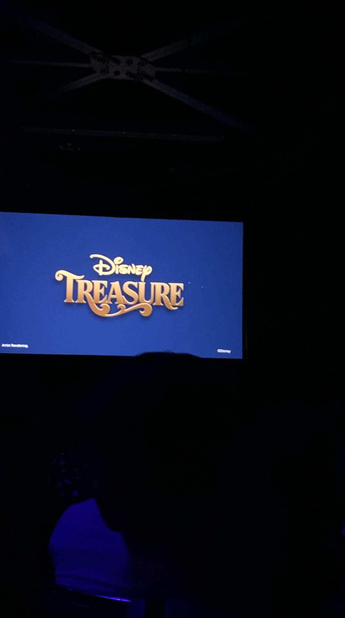 Disney Treasure