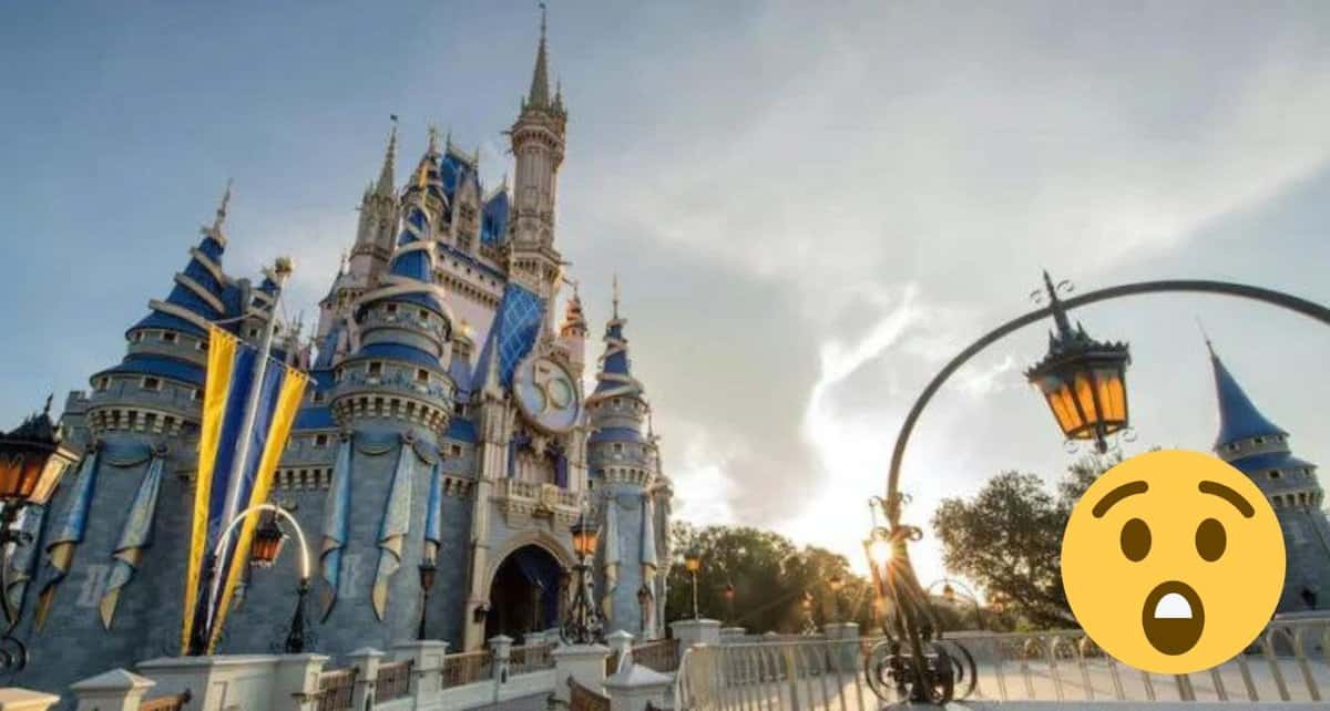 disney world loss hurricane ian
