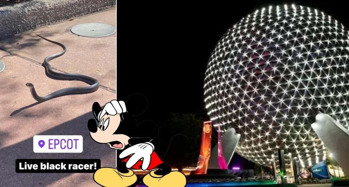 snake walt disney world