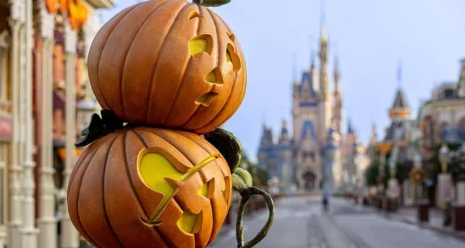 Empty Disney World