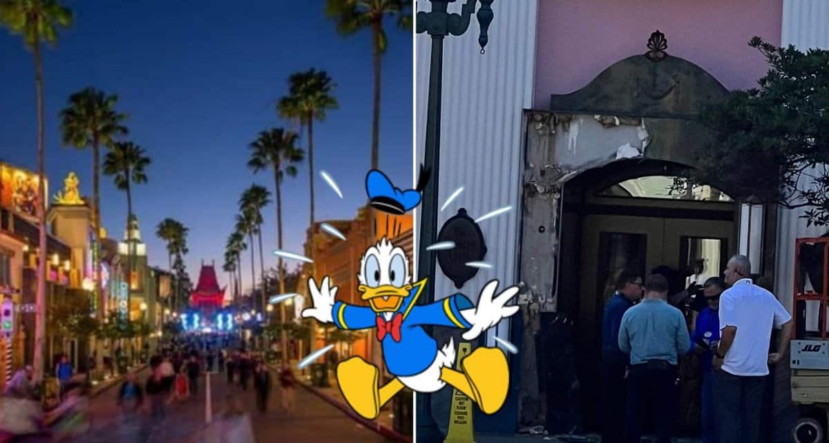 hollywood boulevard disney world