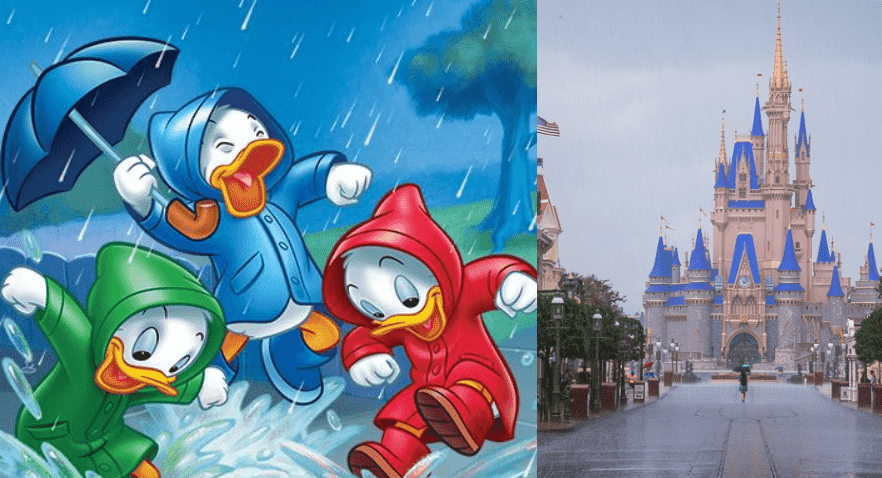 Huey, Dewey, Louie rainy day/Cinderella Castle rainy day