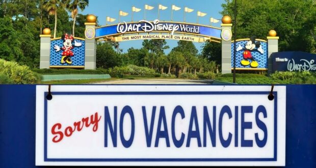 Disney World Hotel Availability
