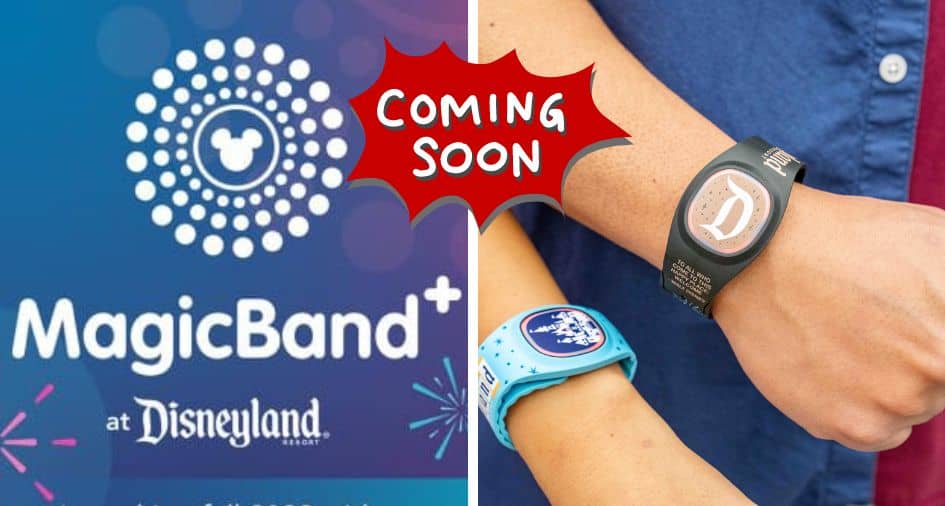 magicband+ disneyland