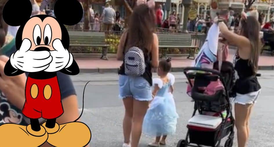 family sneaks child in stroller to avoid disney prices