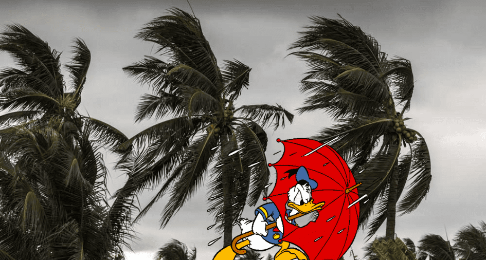 Donald in Hurricane