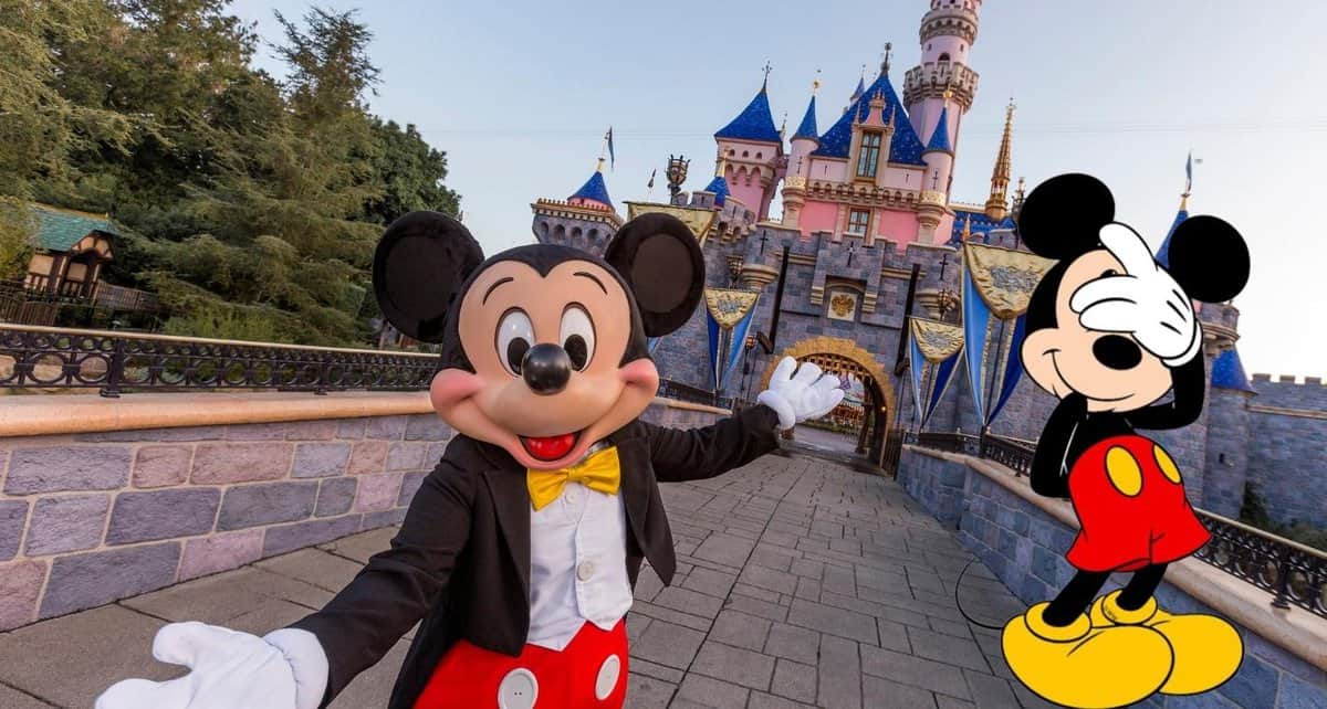 disneyland pimp analogy