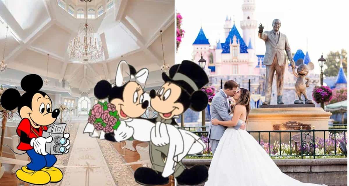 disney park wedding cost