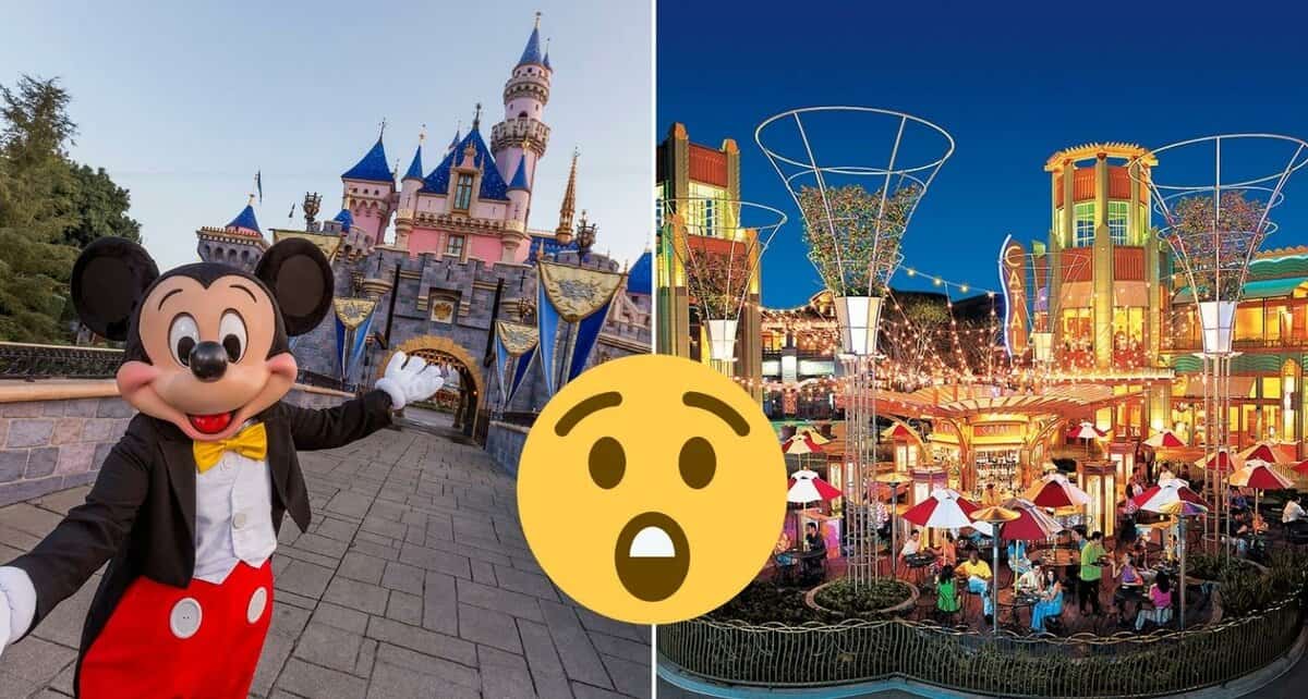 disneyland guest bad behavior