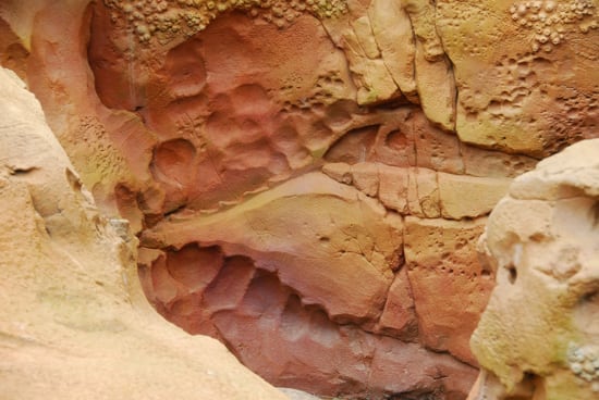 Nautilus Rocks