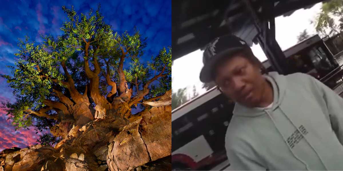 Disney World arrest fugitive at Disney's Animal Kingdom