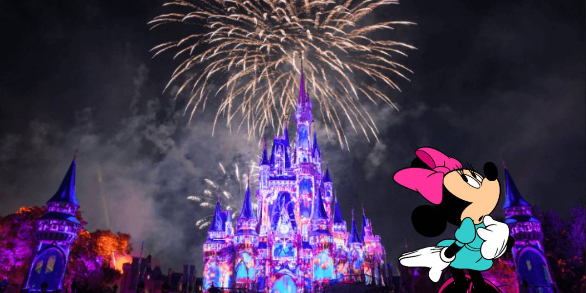 Disney World Fireworks