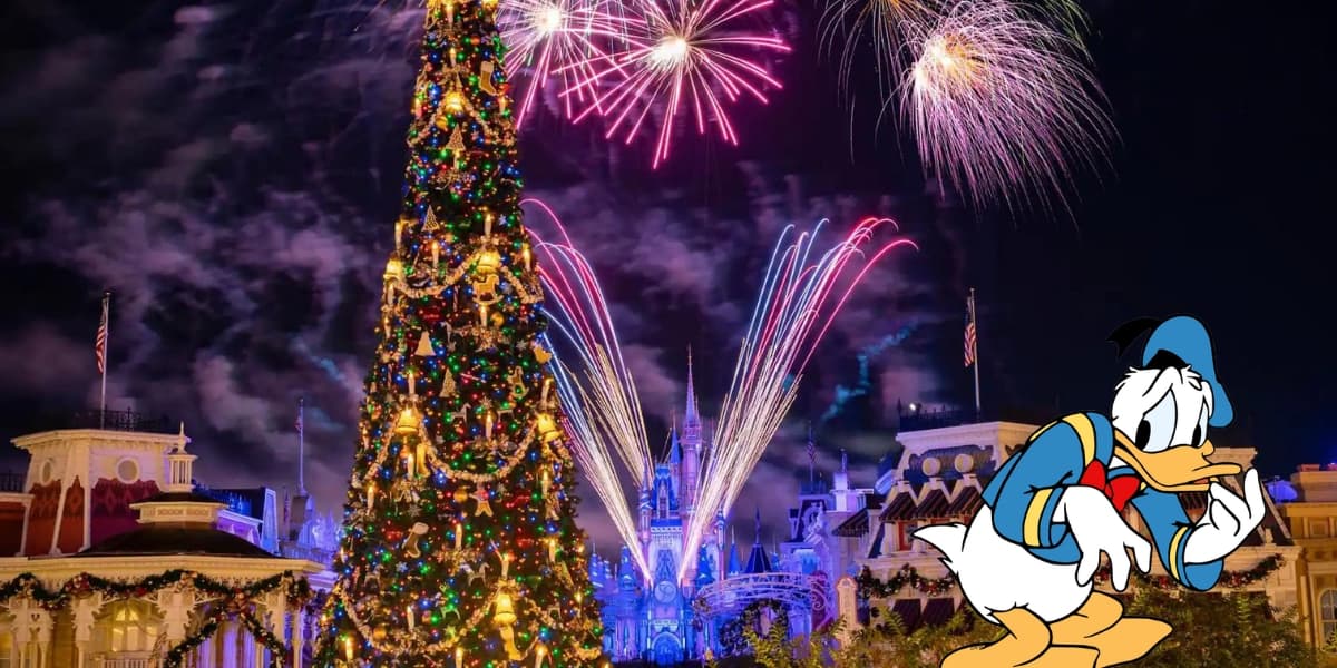 Disney Park Blooper