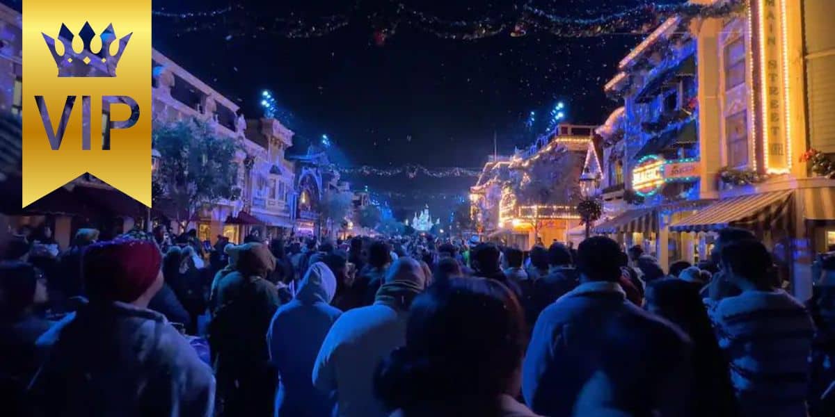cast-members-during-private-christmas-fantasy-parade