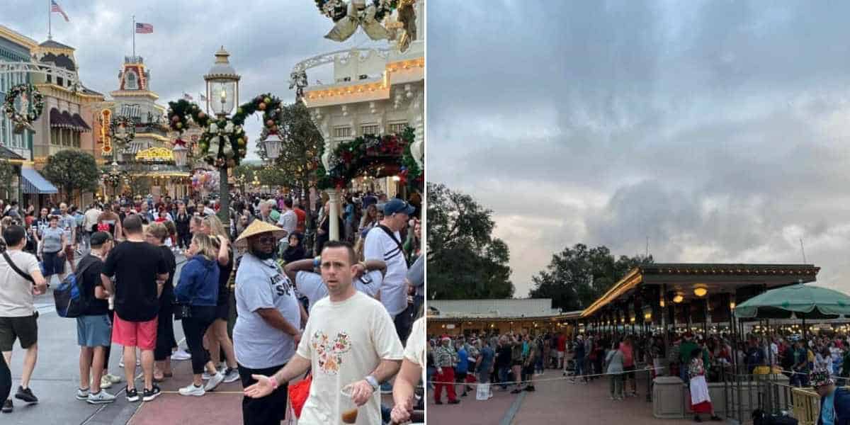magic kingdom crowds christmas
