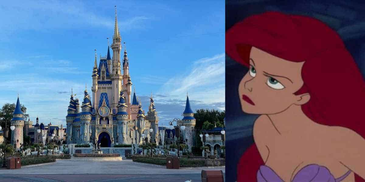 disney world guest obscenities