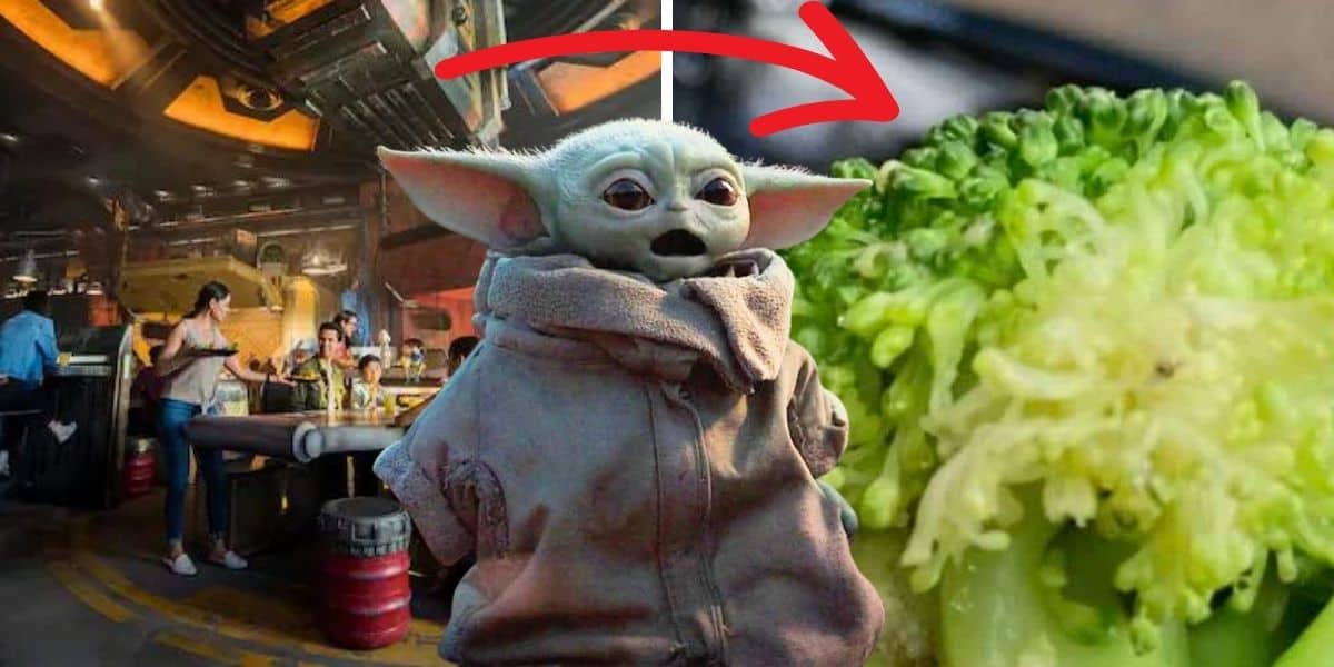 maggot-in-broccoli-baby-yoda-shocked