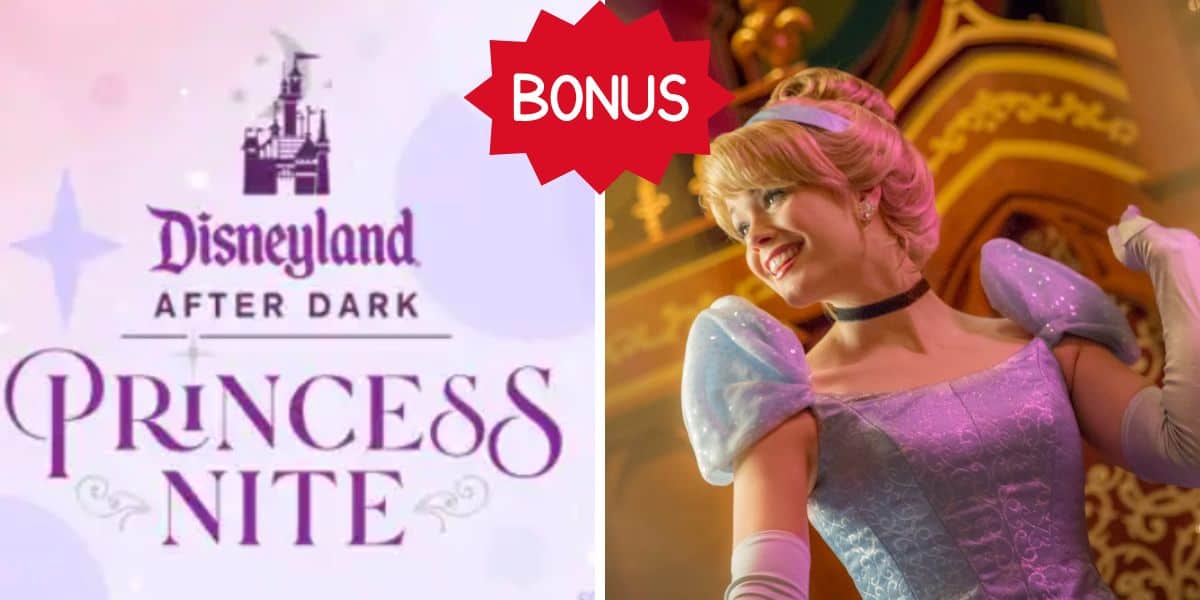 disneyland-princess-nite-pre-sale