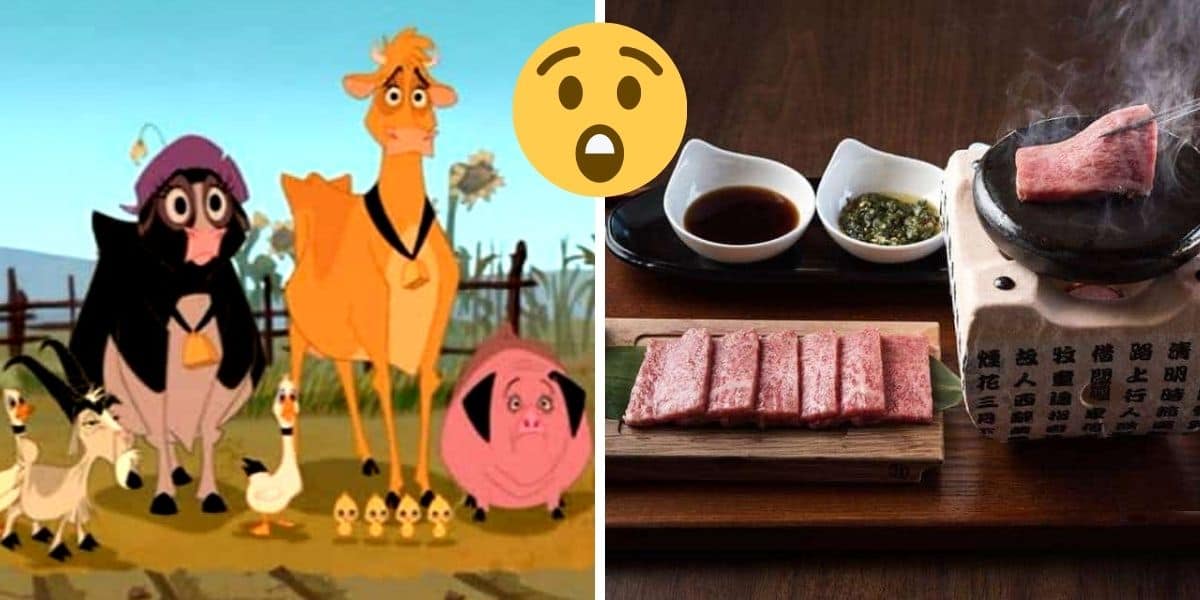 home-on-the-range-cows-shocked