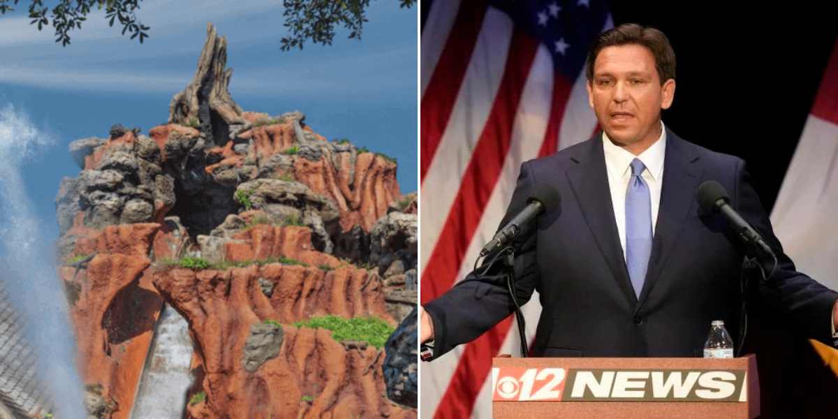 save splash mountain