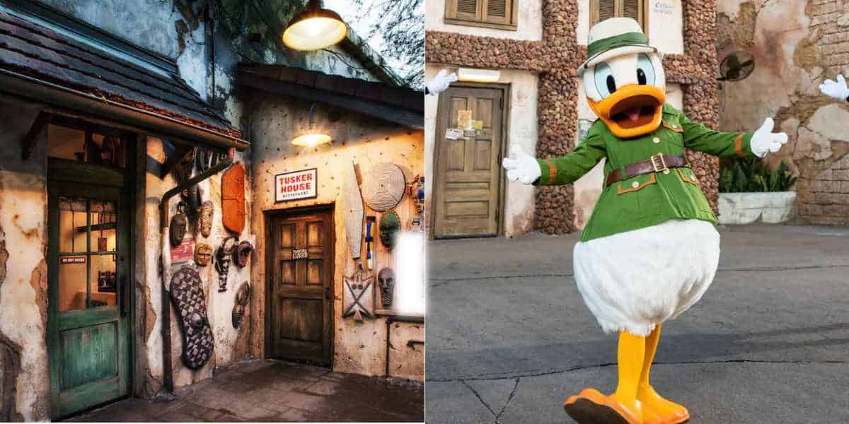 tusker house restaurant animal kingdom