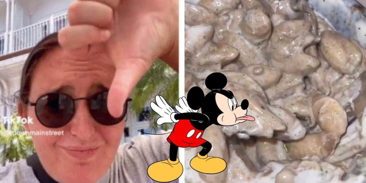 disney-meals-bad-review