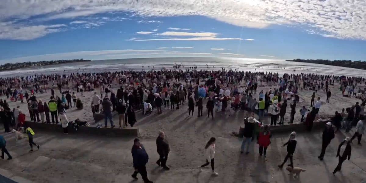 newport-polar-plunge-disney-charity