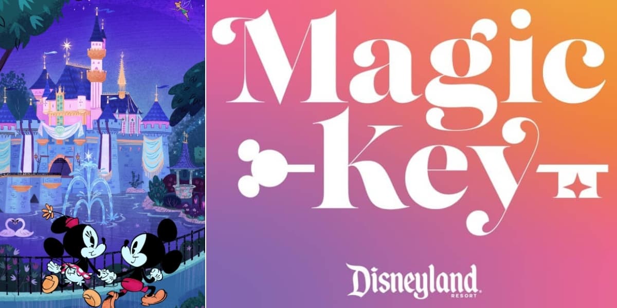 Disney annual pass sales