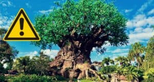 What to Know Visiting Animal Kingdom