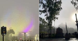 Disney World in Fog