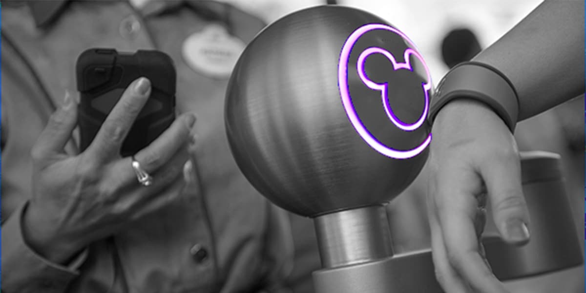 Rope Drop Disney World