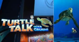 religious turtle talk crush