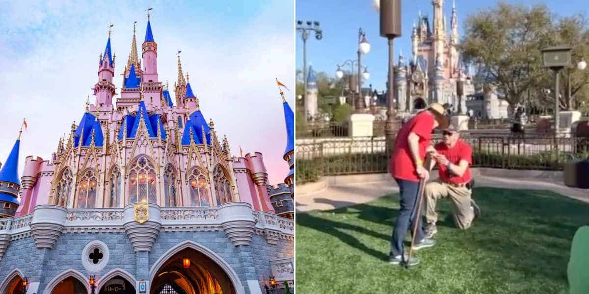 husband renewed proposal disney