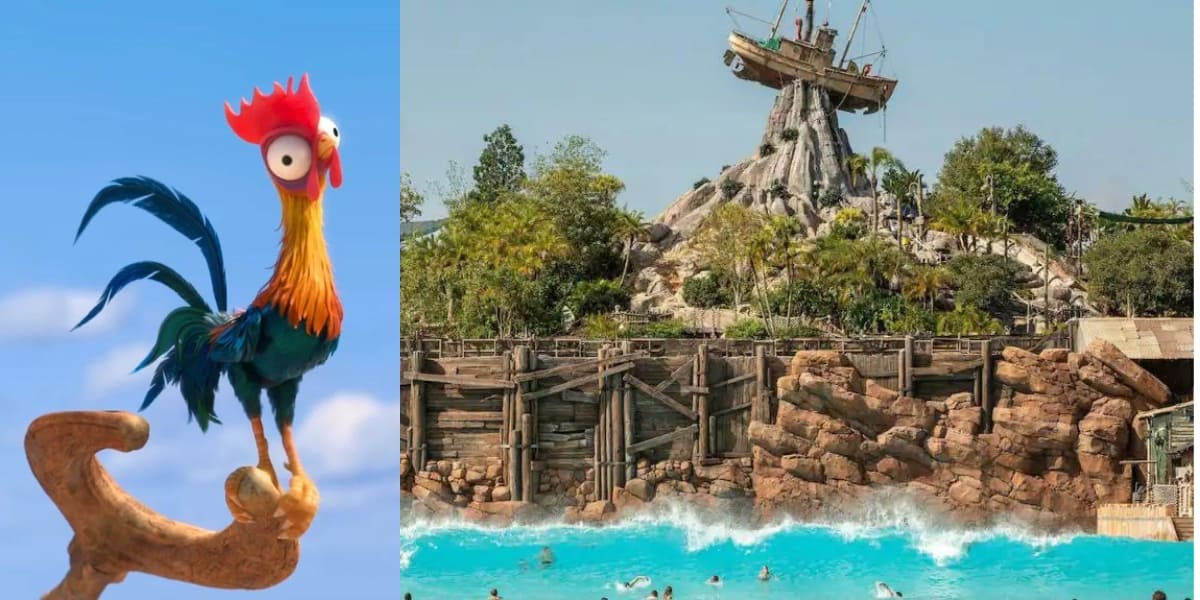 Disney's Typhoon Lagoon Reopening