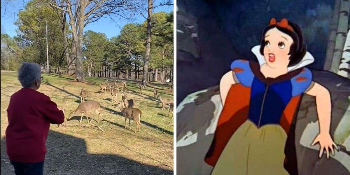 snow white looks appalled as grandmother feeds deer