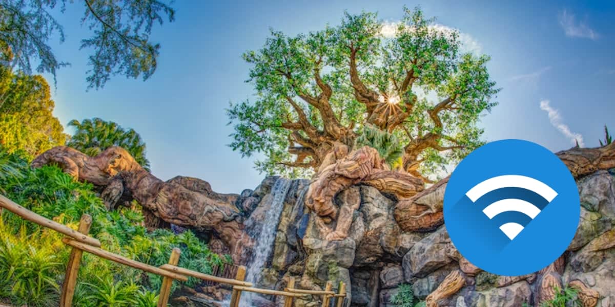 Best remote work spots at Disney World