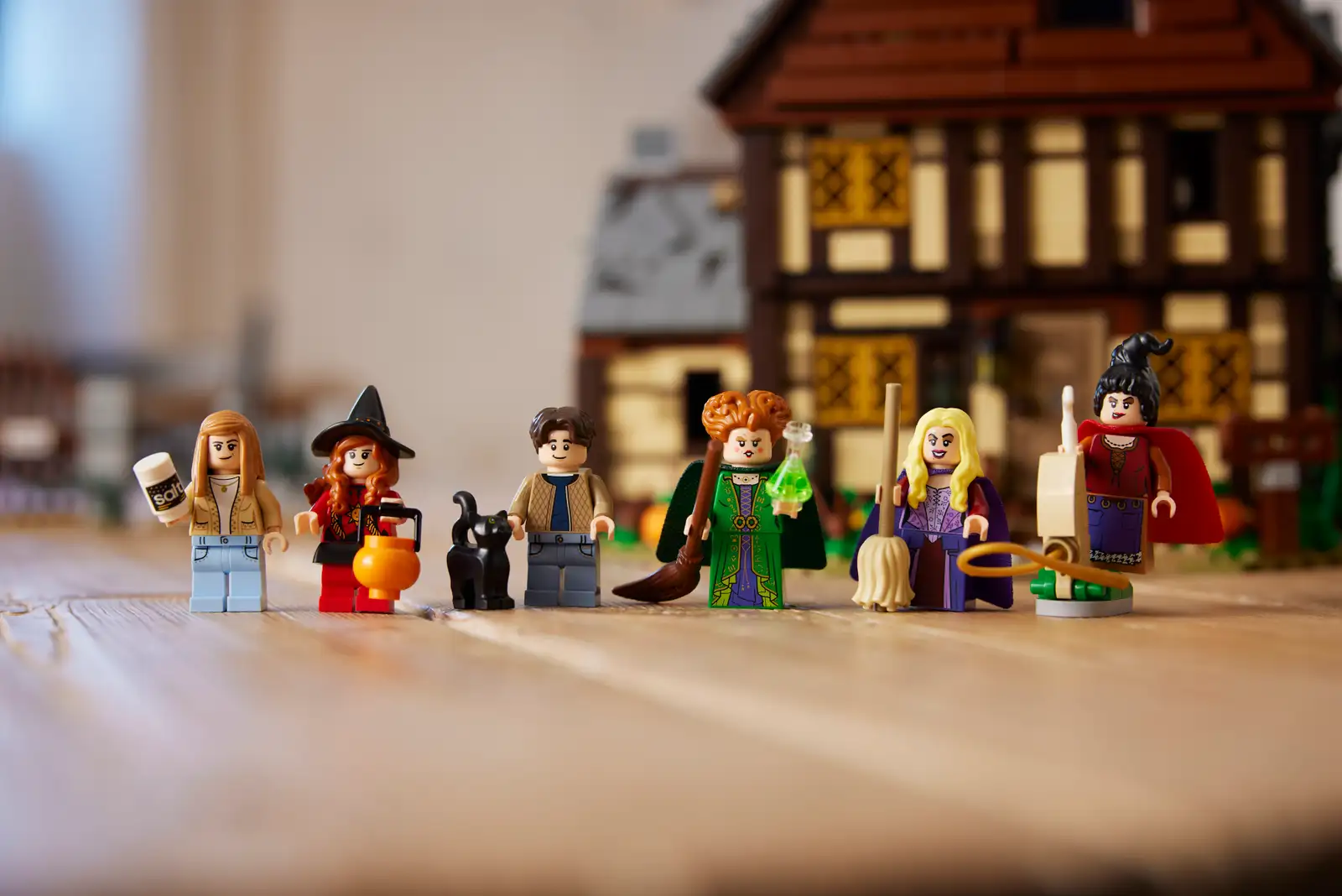 Hocus Pocus LEGO Set