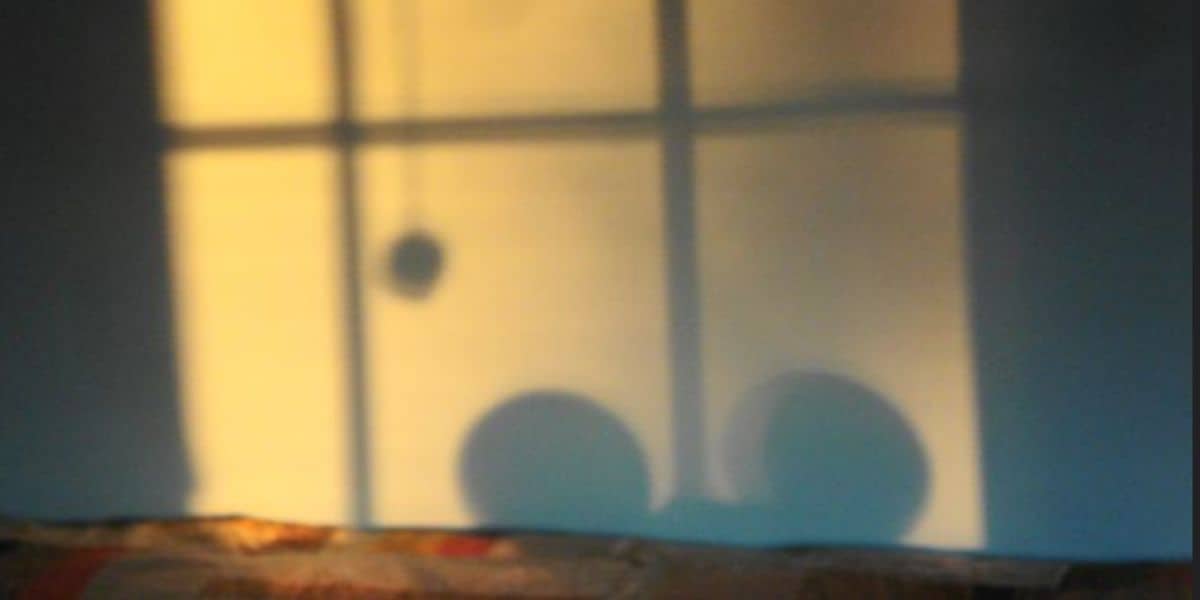 Mickey Ears